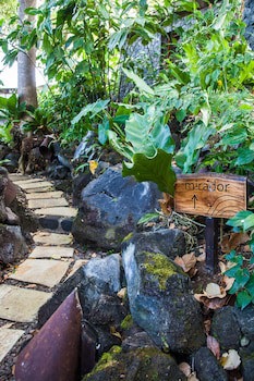 Jicaro Island Ecolodge - Adults Oriented