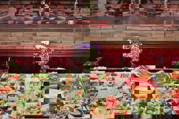 Senatus Hotel - Special Class