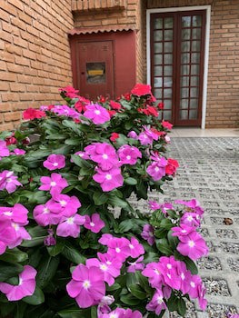 Hotel Sao Sebastiao Da Praia