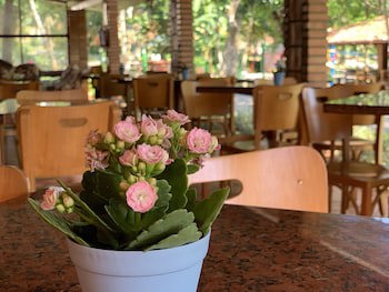 Hotel Sao Sebastiao Da Praia