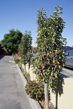 Blenheim Spa Motor Lodge