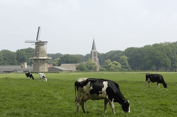 Hotel Mooirivier