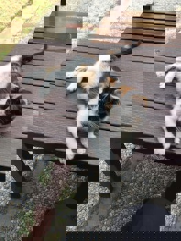 Hotel Baylan - Basmane