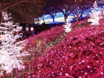 Hotel Wing International Sagamihara