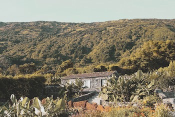 Adegas Do Pico