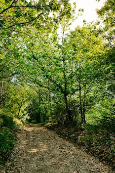 Quinta Da Bouca De Arques