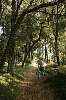 Quinta Da Bouca De Arques