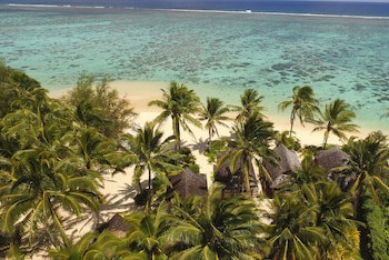 Palm Grove