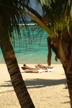 Palm Grove