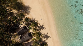 Palm Grove