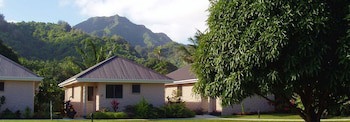 Palm Grove