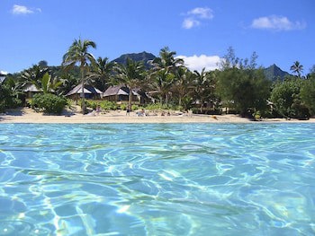 Palm Grove