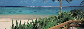 Palm Grove