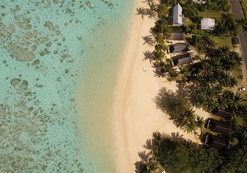 Palm Grove