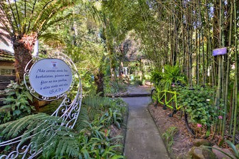 Don Ramon Hotel & Spa