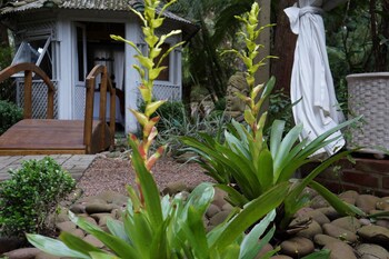Don Ramon Hotel & Spa