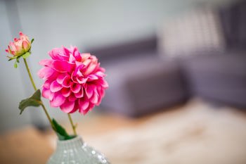 Boutique Hotel T Klooster