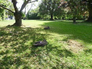162 Kings Of Riccarton Motel