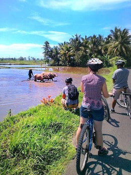 Puri Dajuma Beach Eco-Resort & Spa