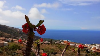 Apartamentos Estrella Del Norte