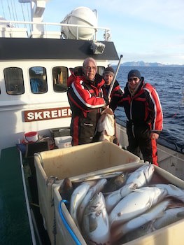 Anker Brygge