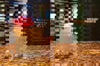 Megasaray Westbeach Antalya