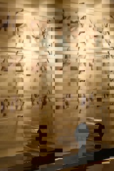 Hotel Samm Bistro Spa