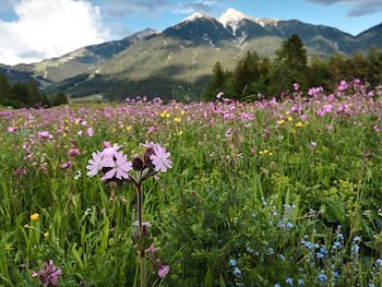 Das Hotel Eden Seefeld