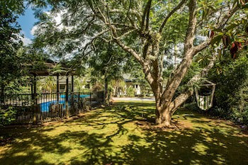 Kauri Park Motel