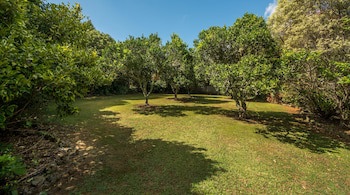 Kauri Park Motel