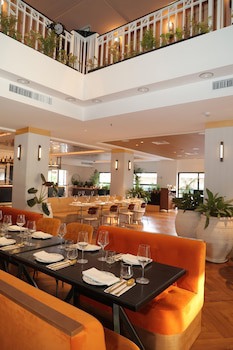Brown Eilat