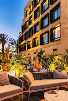 Brown Eilat