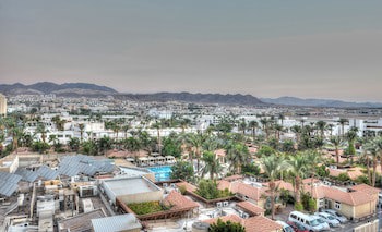 Brown Eilat
