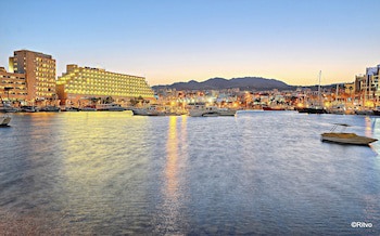 Brown Eilat