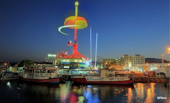 Brown Eilat