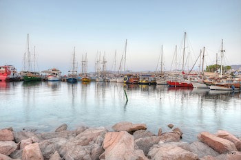 Brown Eilat