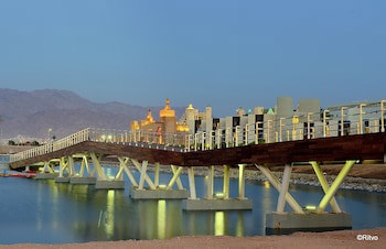 Brown Eilat