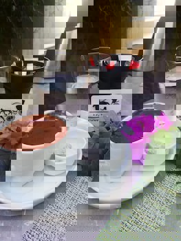 Ascot Hotel Buyukada