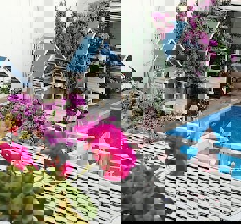 Ascot Hotel Buyukada