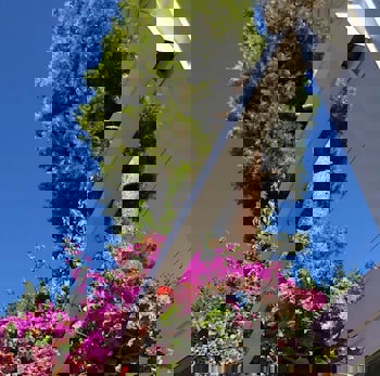 Ascot Hotel Buyukada