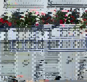 Ascot Hotel Buyukada