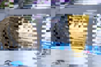 Ascot Hotel Buyukada