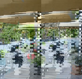 Ascot Hotel Buyukada