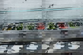 Ascot Hotel Buyukada