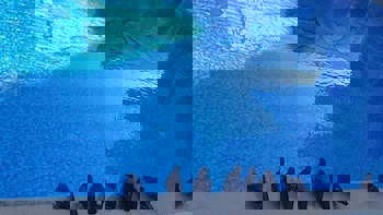 Ascot Hotel Buyukada