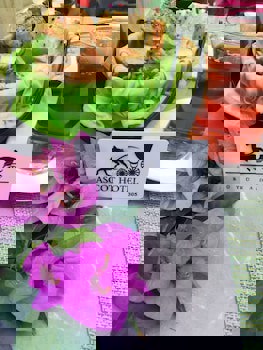 Ascot Hotel Buyukada