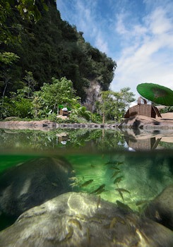 The Banjaran Hotsprings Retreat (Adults Only)