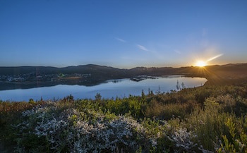 Elephant Hide Of Knysna Guest Lodge