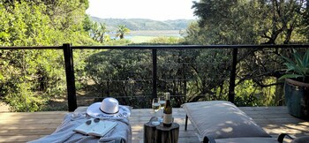 Elephant Hide Of Knysna Guest Lodge
