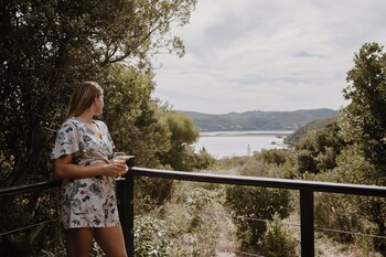 Elephant Hide Of Knysna Guest Lodge
